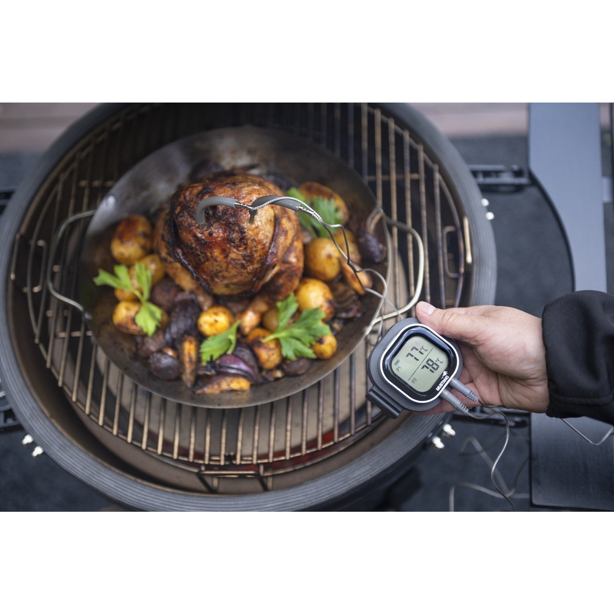 Mustang Digital Thermometer