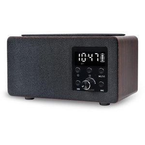 Portable radio receiver Manta RDI910WC, brown/black
