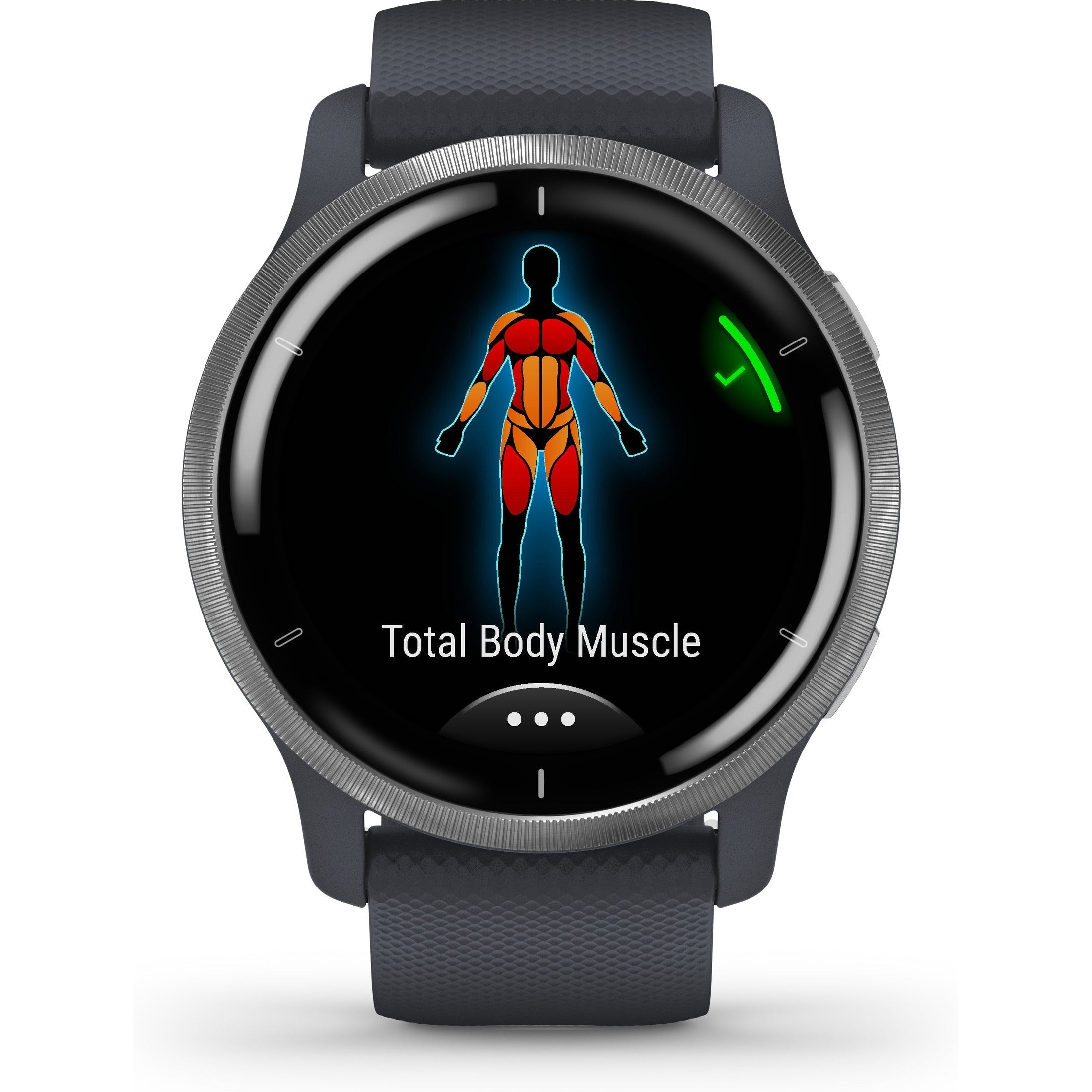 Garmin Venu 2 GPS Smartwatch, Granite Silver Blue