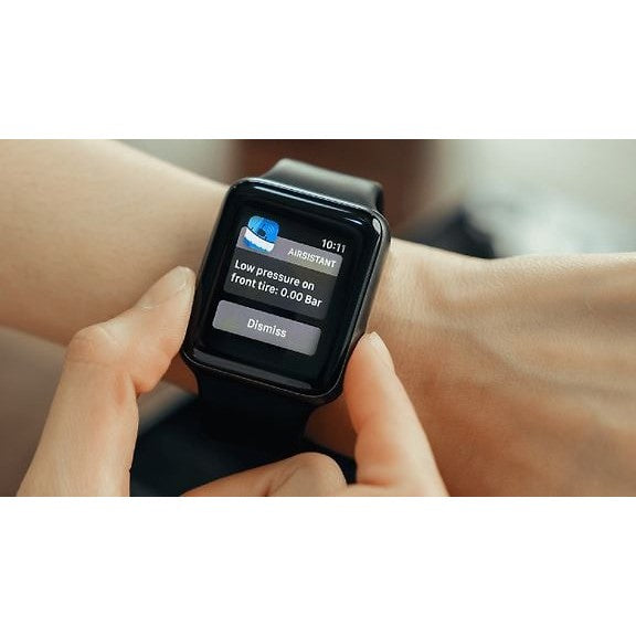 AIRsistant Pressure Monitor 2 Sensors for Schrader Valve, Black