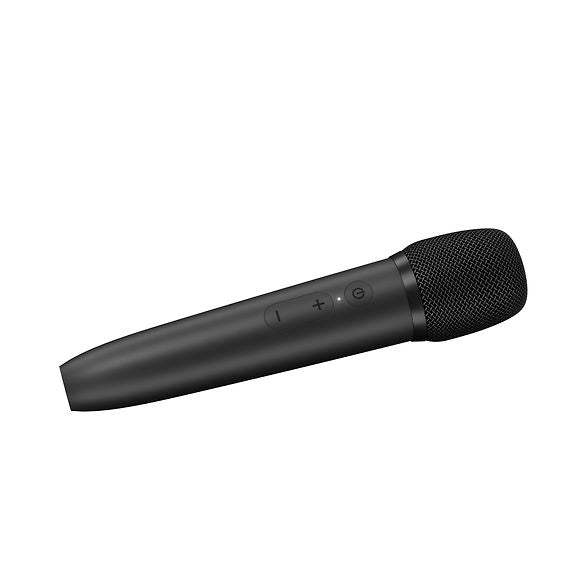 ProCaster Upbeat Karaoke Speaker With Two Microphones, Black