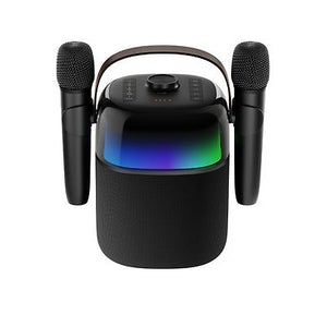 ProCaster Upbeat Karaoke Speaker With Two Microphones, Black