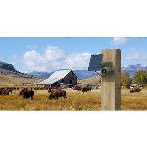 Reolink Go Plus Camo 4G/LTE Surveillance Camera with USB-C, Camouflage