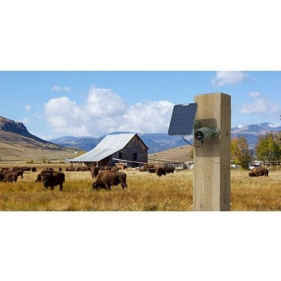 Reolink Go Plus Camo 4G/LTE Surveillance Camera with USB-C, Camouflage