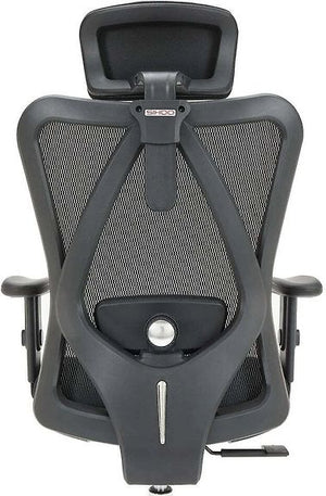 Sihoo M18 Ergonomic Office Chair, Black