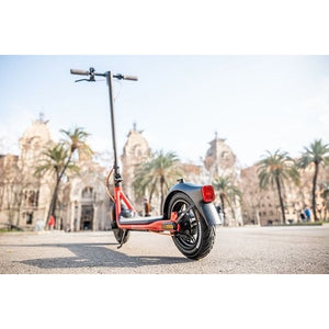 Ninebot By Segway Kickscooter D18E