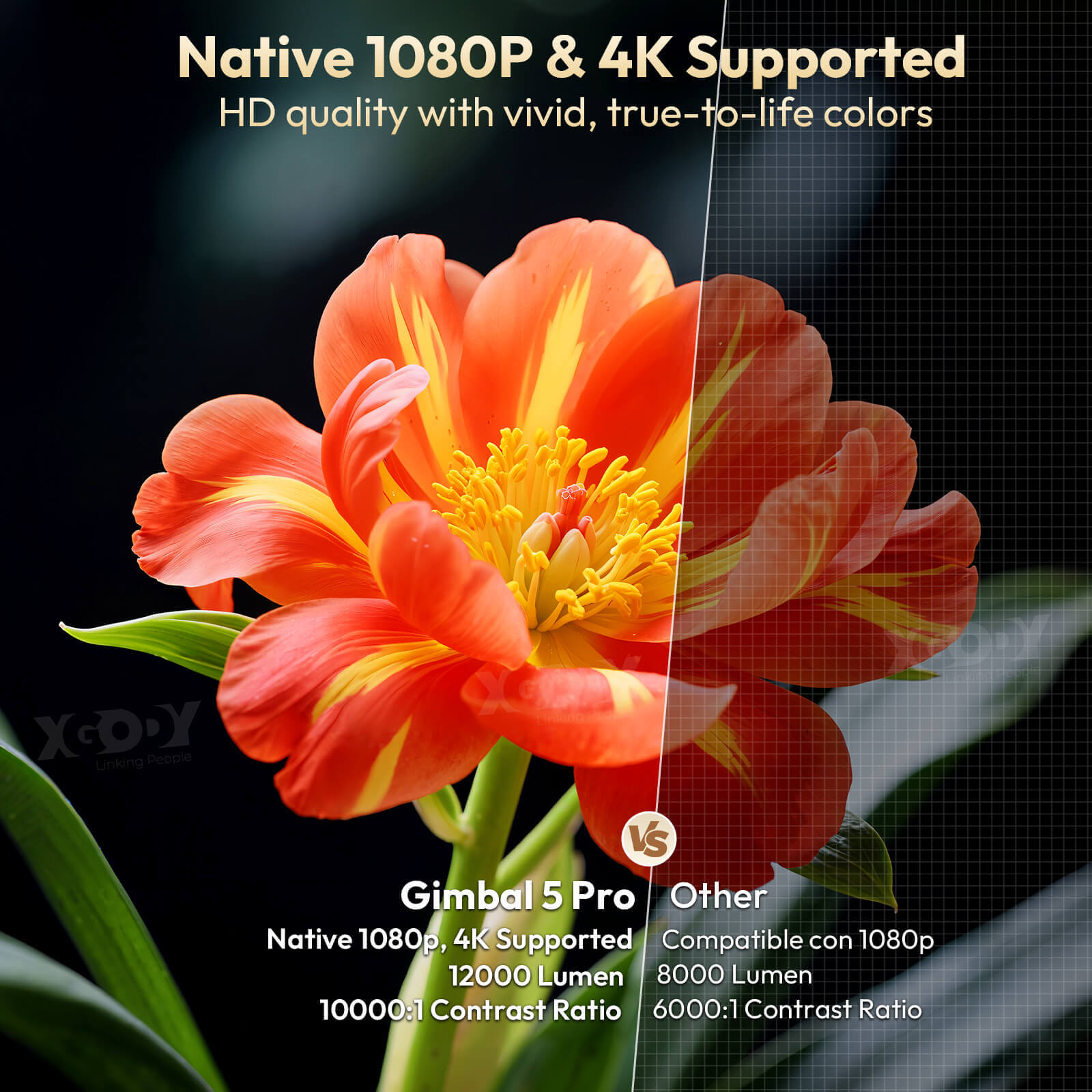 Gimbal 5 PRO Portable Projector Android 14.0, Native 1080P