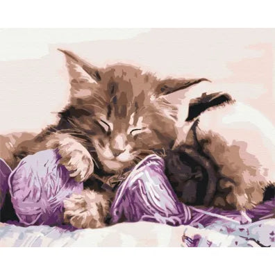 Paint it! Cat and Dog Painting by Numbers 40x50cm