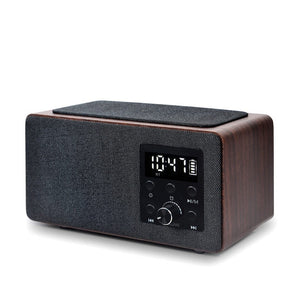 Portable radio receiver Manta RDI910WC, brown/black