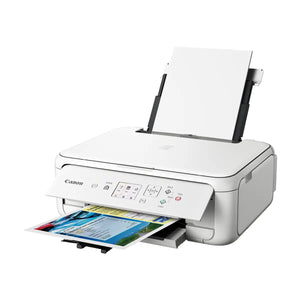 Canon Multifunction Inkjet Printer, White