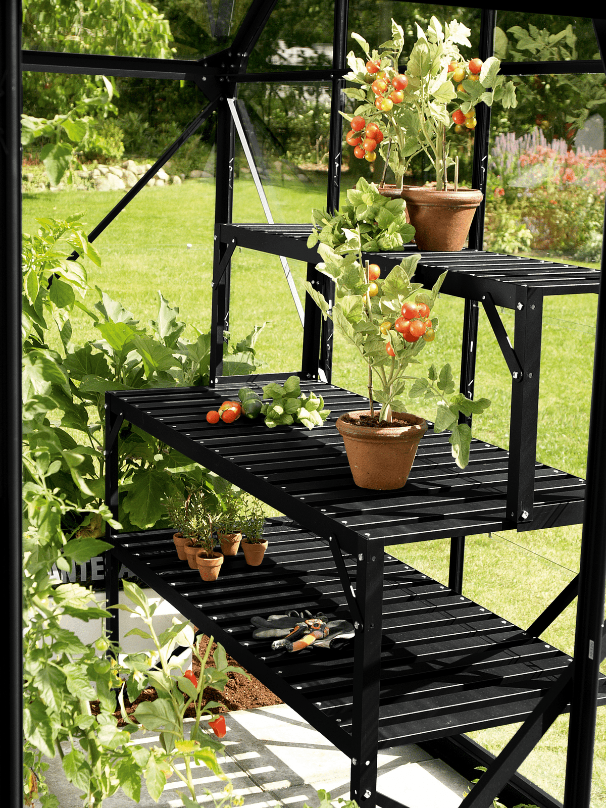 Vitavia Folding Greenhouse Staging Table, Black
