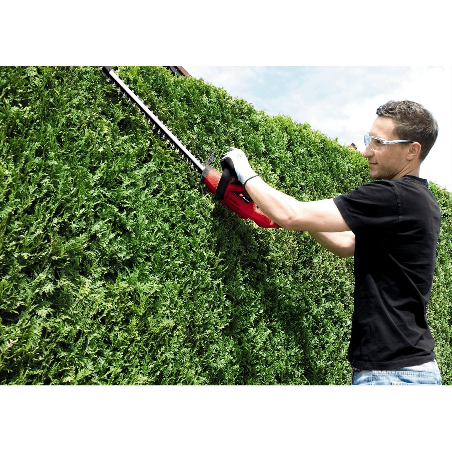 Einhell Hedge Trimmer GH-EH 4245