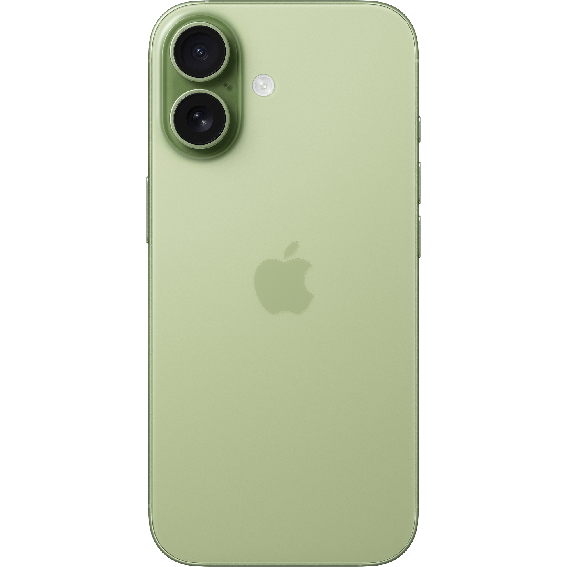 iPhone 17 5G Smartphone 256 GB, Sage Green