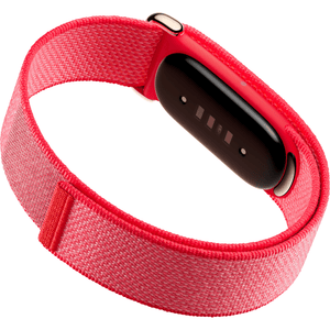 Google Fitbit Air - Berry