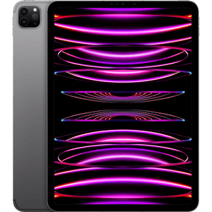 iPad Pro 11" 2022 256 GB WiFi + Cellular space gray