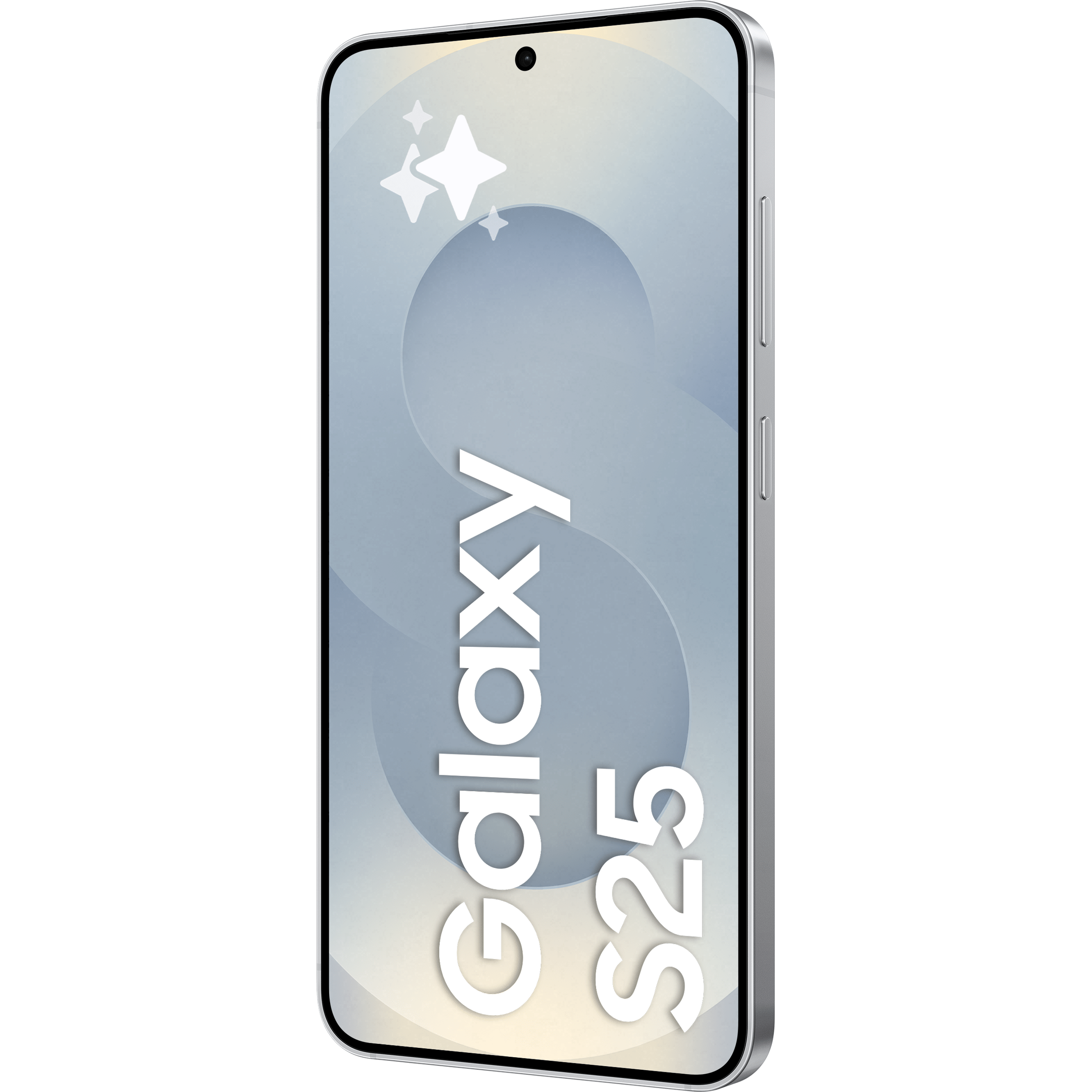 Samsung Galaxy S25 128GB SILVER SHADOW