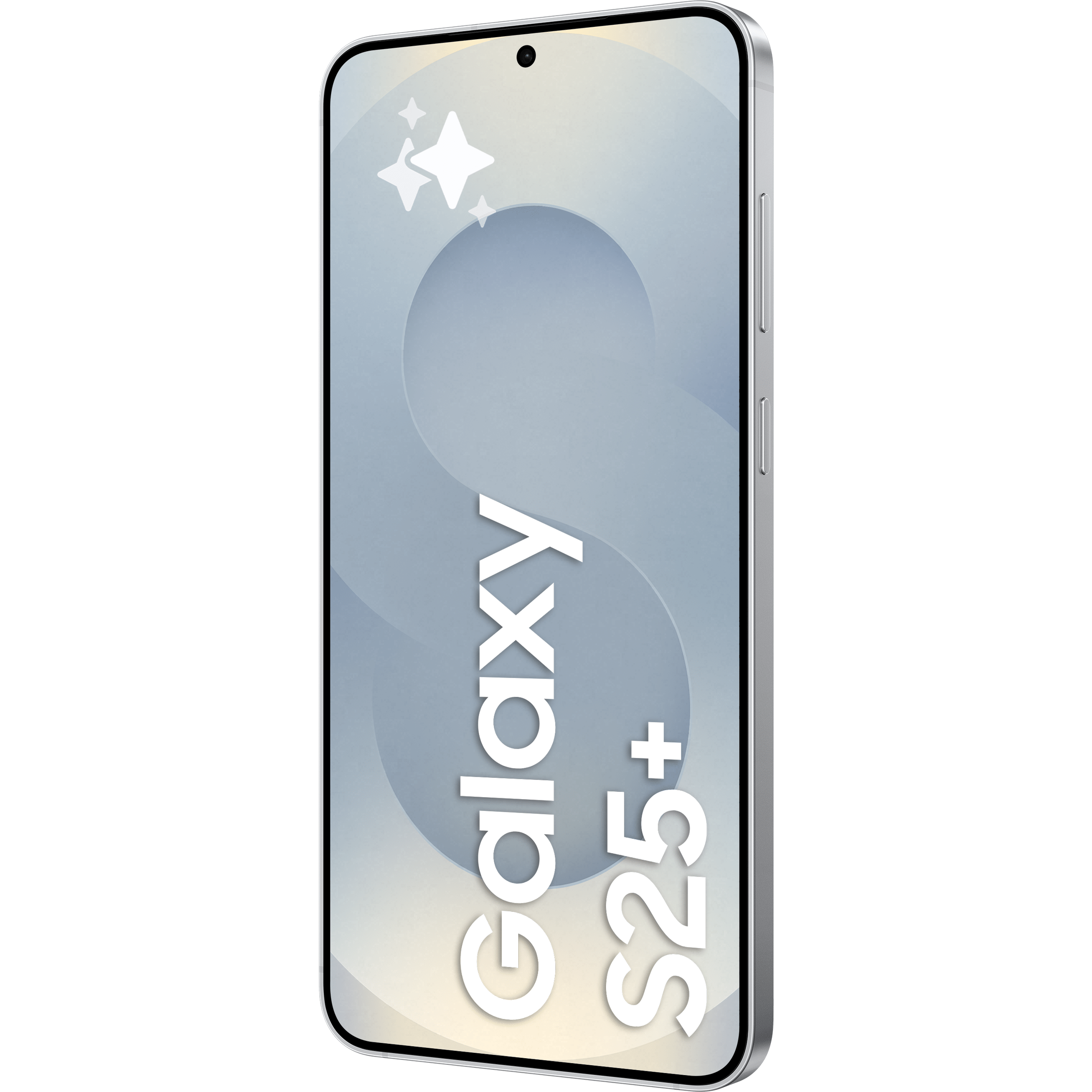 Samsung Galaxy S25+ 5G, 256 GB, Silver Shadow