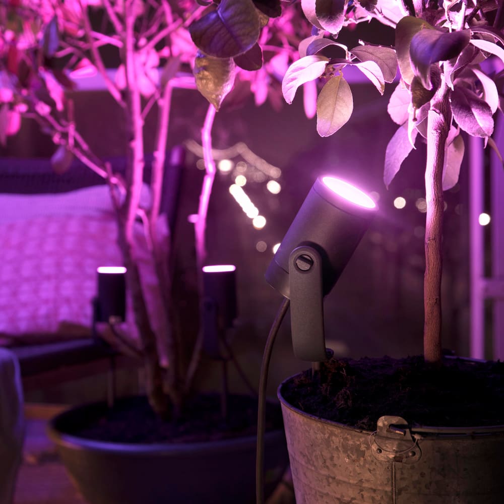 Philips Hue Lily White & Color Ambiance Outdoor spotlight, 3 pcs