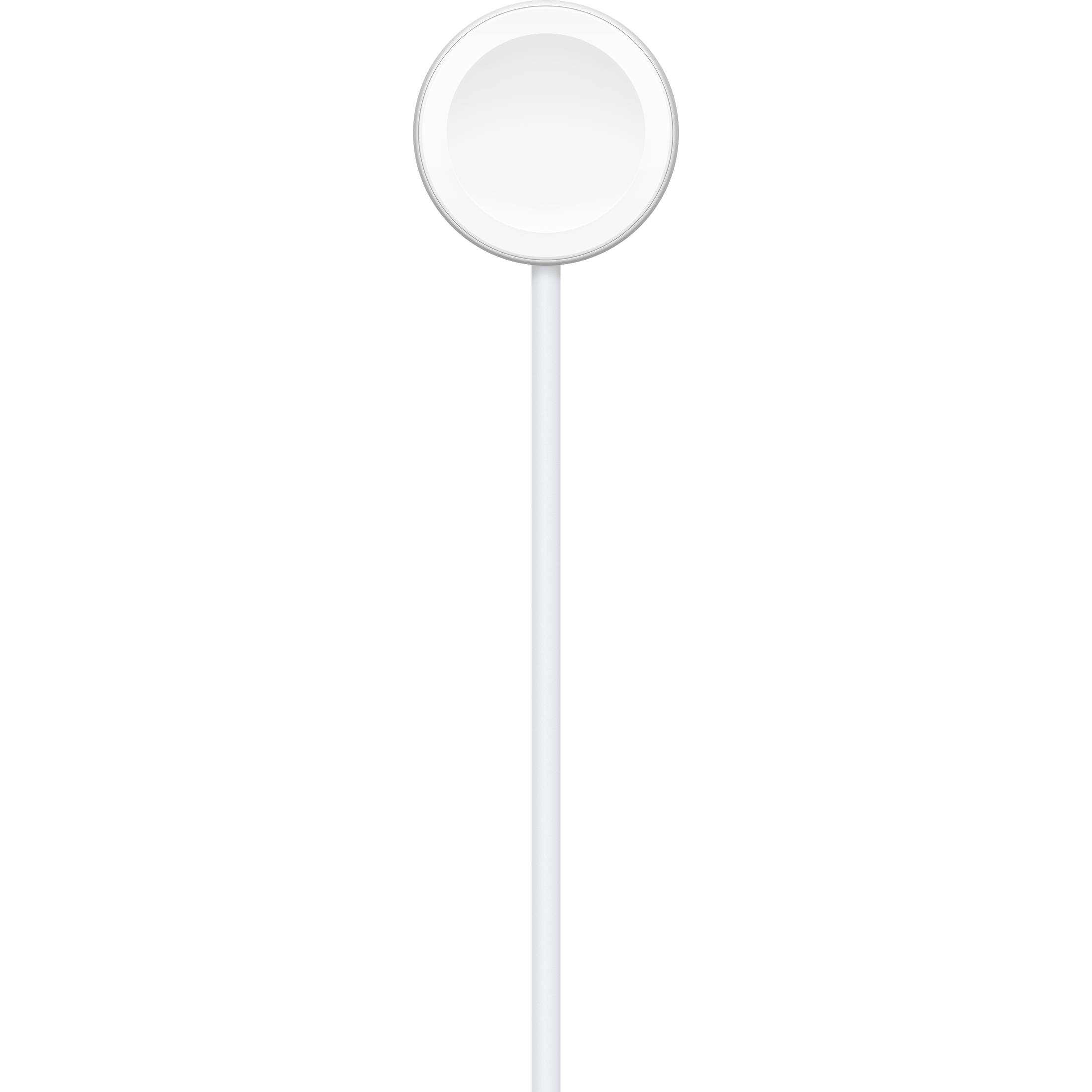 Apple Watch Magnetic Fast Charger to USB-C Cable,1m, A2515
