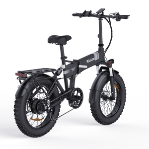 Ridstar H20 20" Folding Electric Bicycle 1000W Motor 48V 15Ah Battery