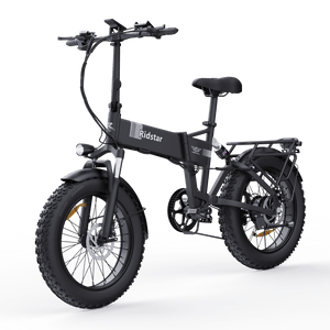 Ridstar H20 20" Folding Electric Bicycle 1000W Motor 48V 15Ah Battery