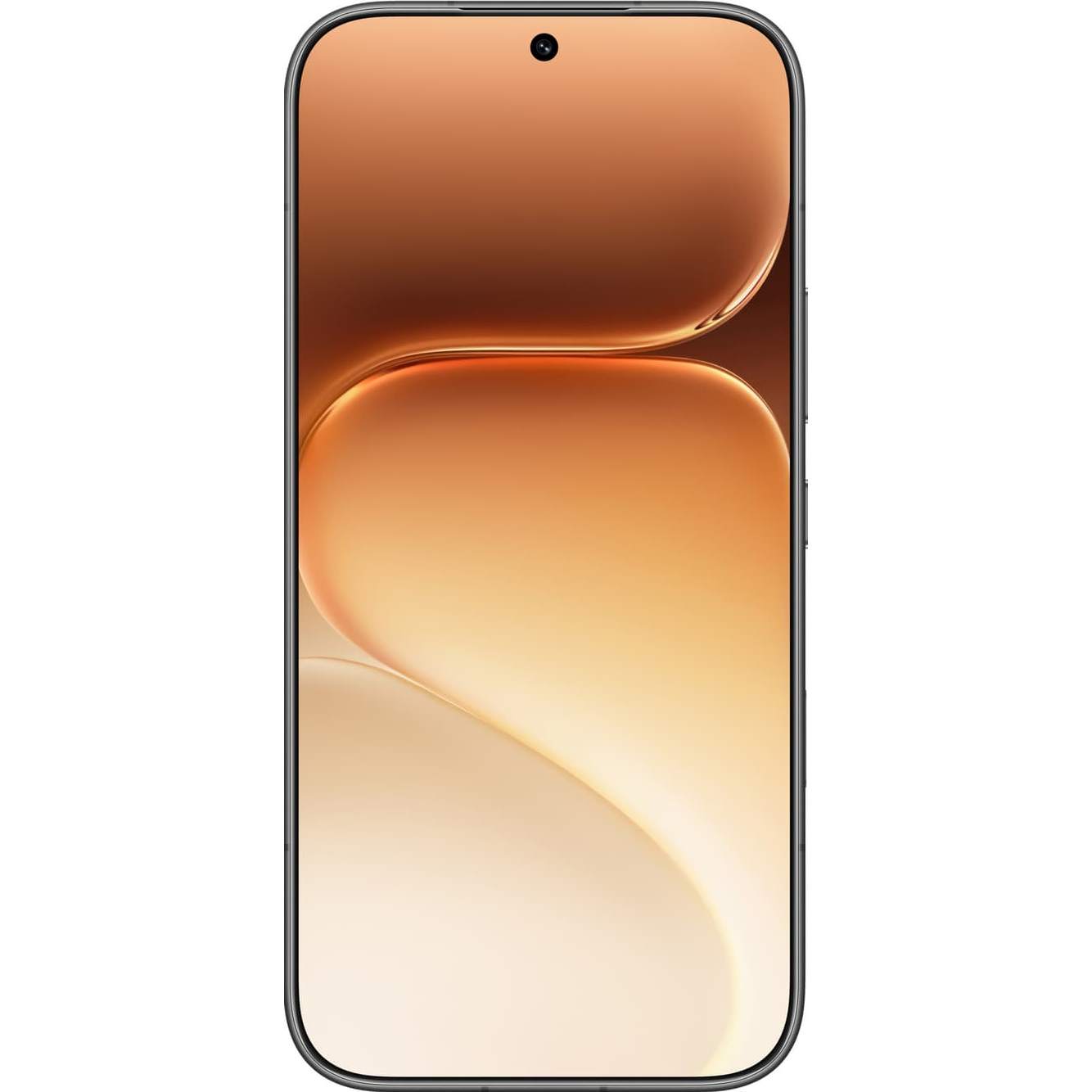 Honor 600 Smartphone 8GB+256GB, Black