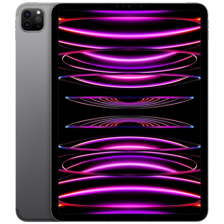 iPad Pro 11" 2022 256 GB WiFi + Cellular space gray