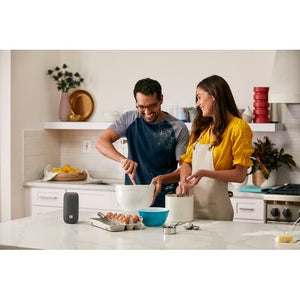 Jbl Link Portable Google Assistant, Grey