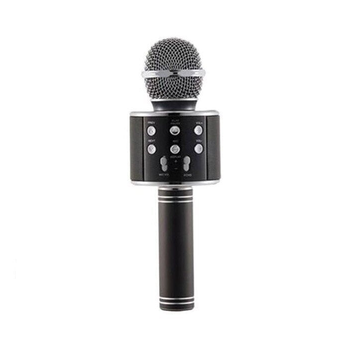 Karaoke Microphone, WS-858