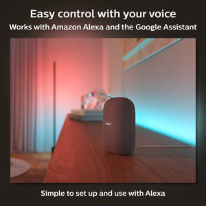 Philips Hue Ambiance Gradient Lightstrip 2m